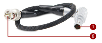 RED Start/Stop Cable (1B to BNC)